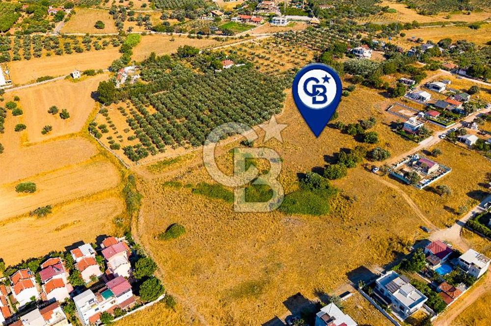 Yenifoça Gencelli Satılık 1180 m2 Tarla