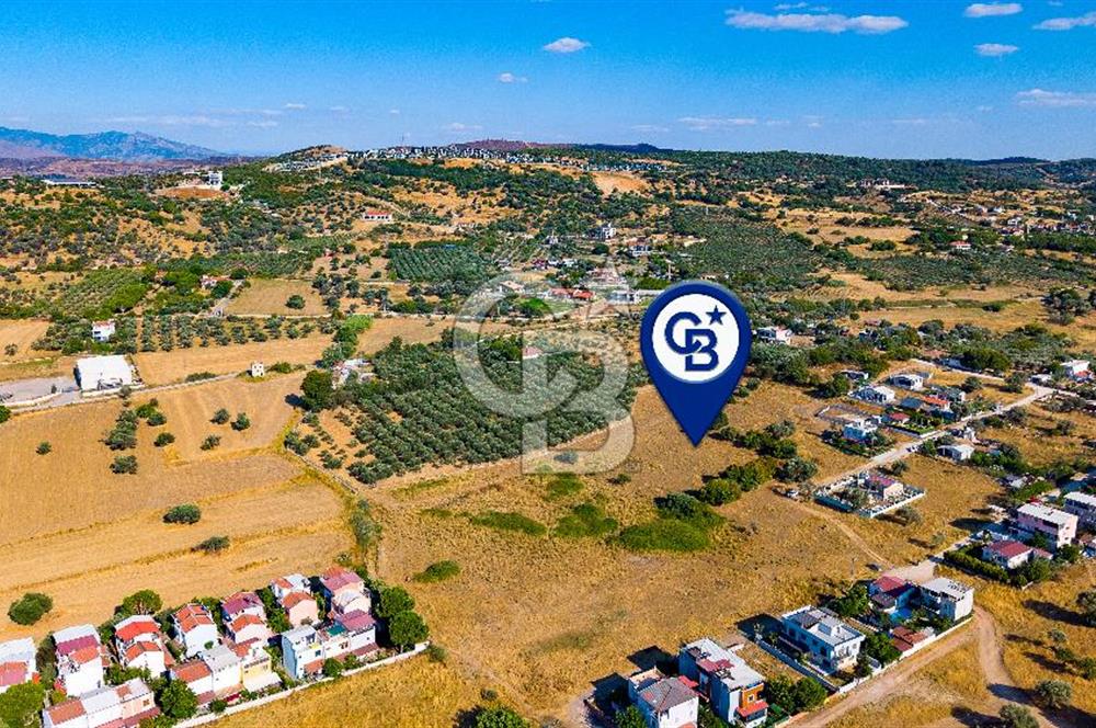 Yenifoça Gencelli Satılık 1180 m2 Tarla