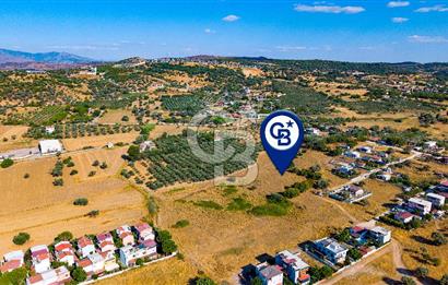 Yenifoça Gencelli Satılık 1180 m2 Tarla