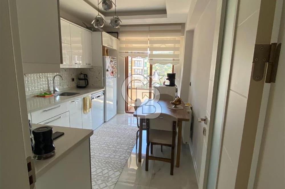 kiralık 3+1