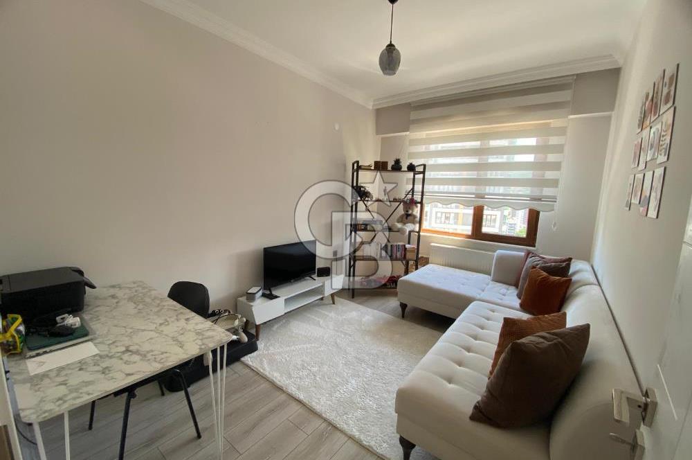 kiralık 3+1