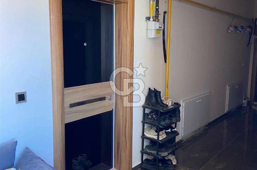 kiralık 3+1