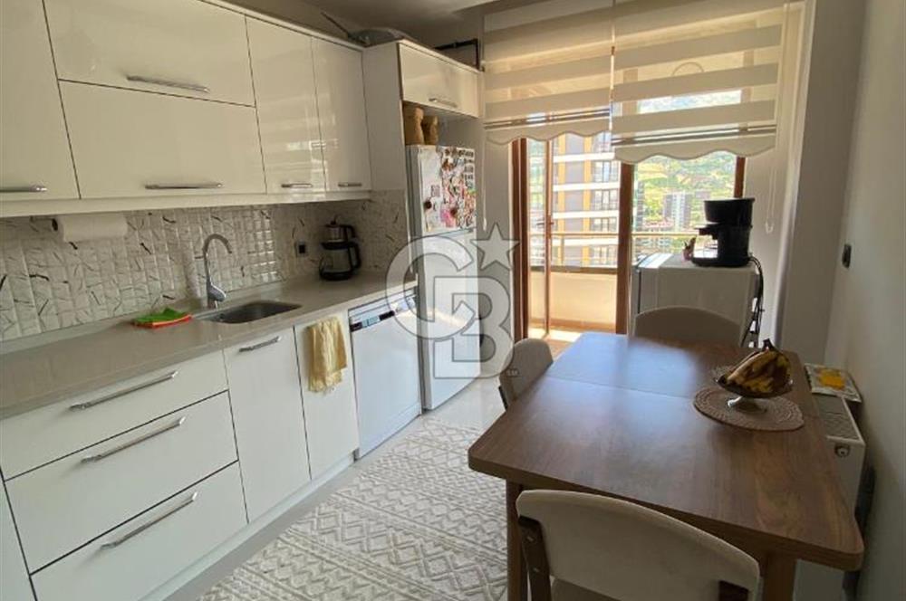 kiralık 3+1