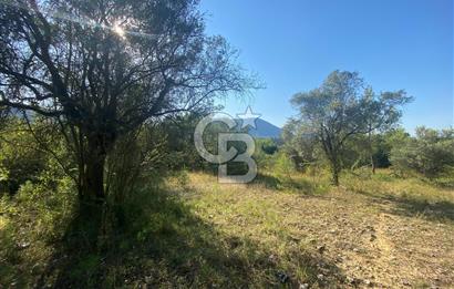 Muğla Menteşe Yeşilyurt Mahallesi'nin  Değer Kazanan Bölgesinde Satılık Fırsat Tarlası