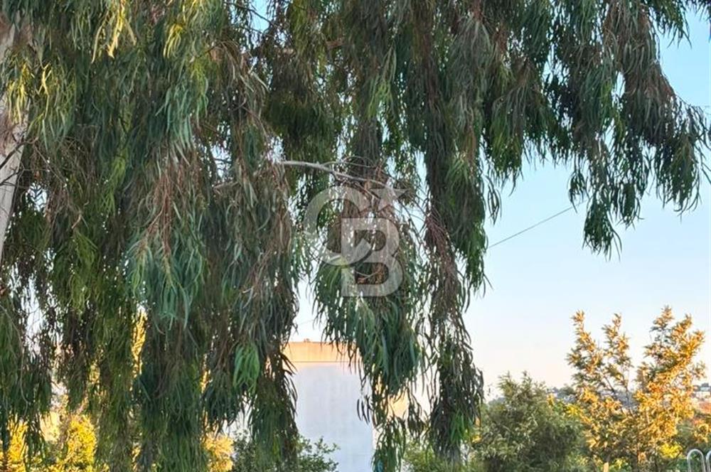 GÜMÜŞLÜK MERKEZ'DE İMARLI ARSA  (514 m2)
