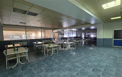 3.OSB'de, 11.379 m² Alanda Tam Entegre Üretim Tesisi