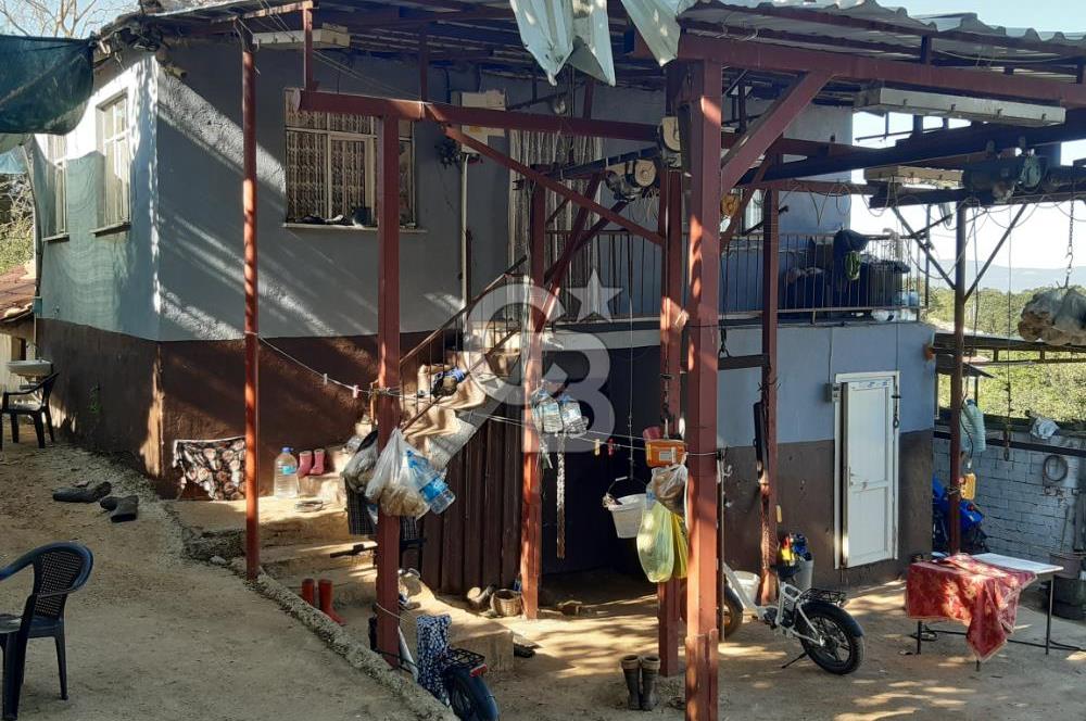 ORHANGAZİ FINDIKLI'DA SATILIK RUHSATLI BÜYÜKBAŞ HAYVAN ÇİFTLİĞİ