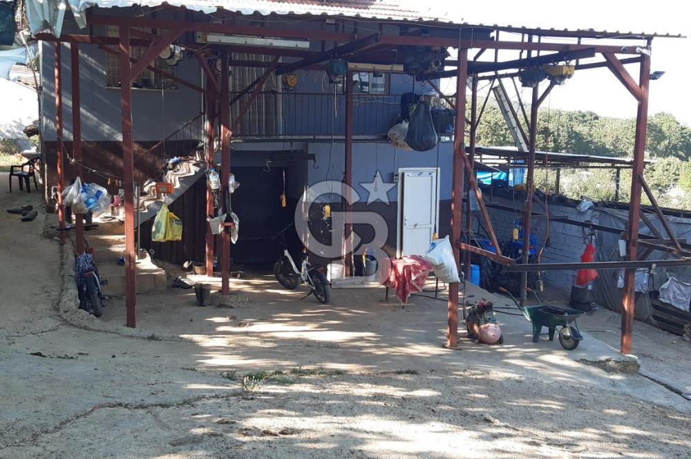 ORHANGAZİ FINDIKLI'DA SATILIK RUHSATLI BÜYÜKBAŞ HAYVAN ÇİFTLİĞİ