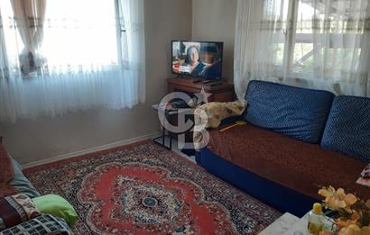 ORHANGAZİ FINDIKLI'DA SATILIK RUHSATLI BÜYÜKBAŞ HAYVAN ÇİFTLİĞİ