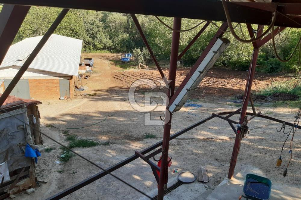 ORHANGAZİ FINDIKLI'DA SATILIK RUHSATLI BÜYÜKBAŞ HAYVAN ÇİFTLİĞİ