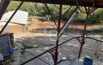 ORHANGAZİ FINDIKLI'DA SATILIK RUHSATLI BÜYÜKBAŞ HAYVAN ÇİFTLİĞİ
