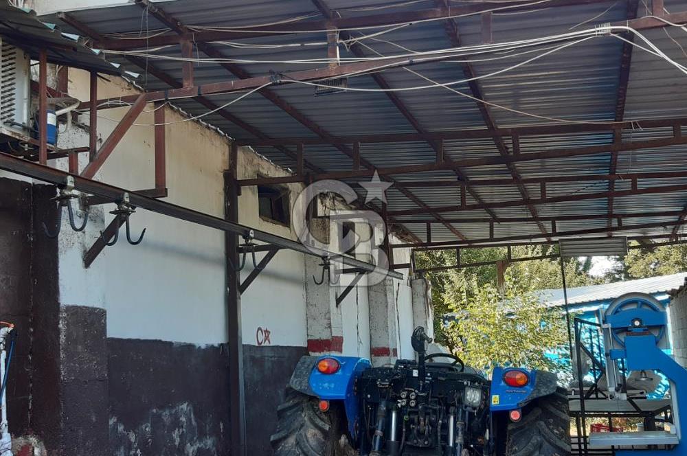ORHANGAZİ FINDIKLI'DA SATILIK RUHSATLI BÜYÜKBAŞ HAYVAN ÇİFTLİĞİ
