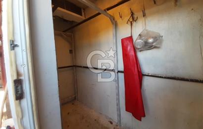 ORHANGAZİ FINDIKLI'DA SATILIK RUHSATLI BÜYÜKBAŞ HAYVAN ÇİFTLİĞİ