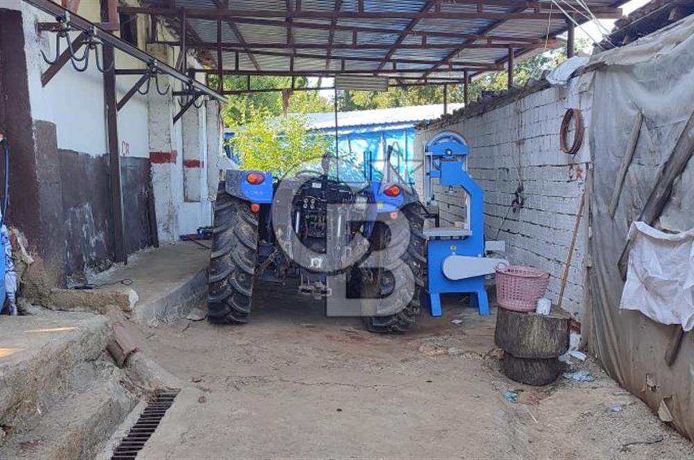 ORHANGAZİ FINDIKLI'DA SATILIK RUHSATLI BÜYÜKBAŞ HAYVAN ÇİFTLİĞİ