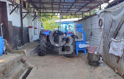 ORHANGAZİ FINDIKLI'DA SATILIK RUHSATLI BÜYÜKBAŞ HAYVAN ÇİFTLİĞİ