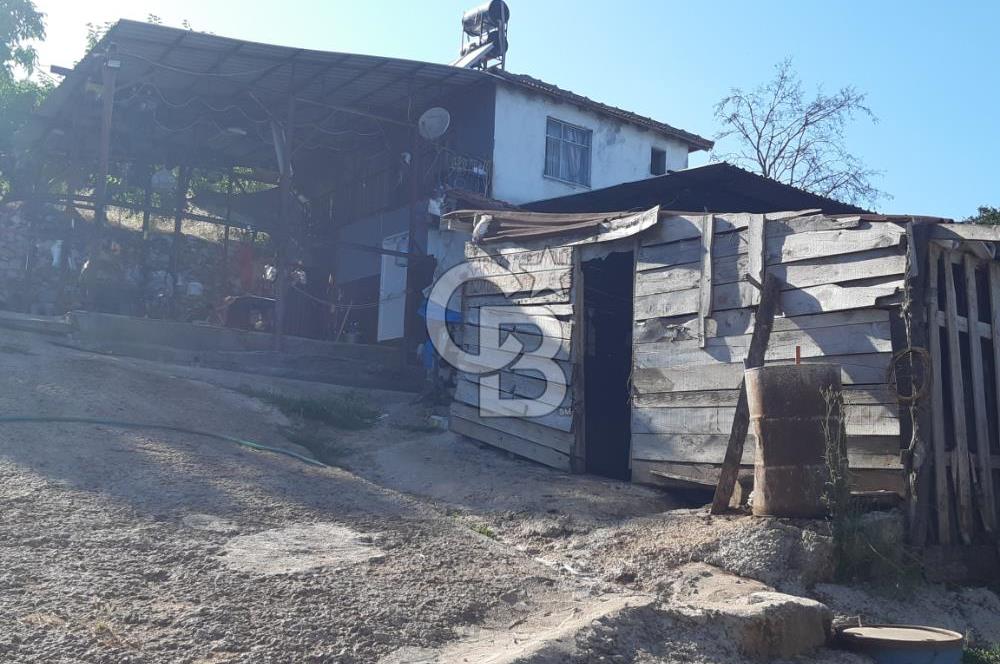 ORHANGAZİ FINDIKLI'DA SATILIK RUHSATLI BÜYÜKBAŞ HAYVAN ÇİFTLİĞİ