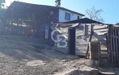 ORHANGAZİ FINDIKLI'DA SATILIK RUHSATLI BÜYÜKBAŞ HAYVAN ÇİFTLİĞİ