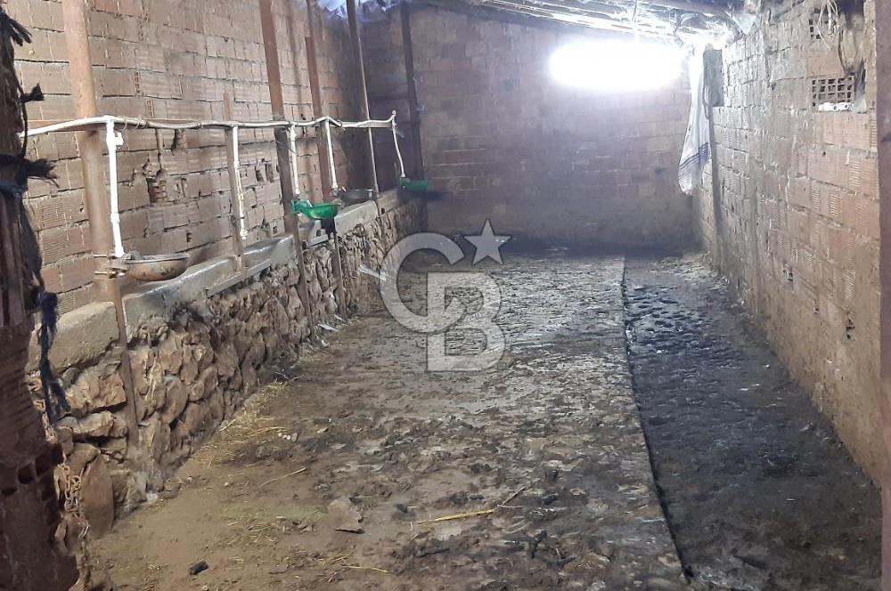 ORHANGAZİ FINDIKLI'DA SATILIK RUHSATLI BÜYÜKBAŞ HAYVAN ÇİFTLİĞİ