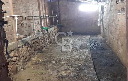 ORHANGAZİ FINDIKLI'DA SATILIK RUHSATLI BÜYÜKBAŞ HAYVAN ÇİFTLİĞİ