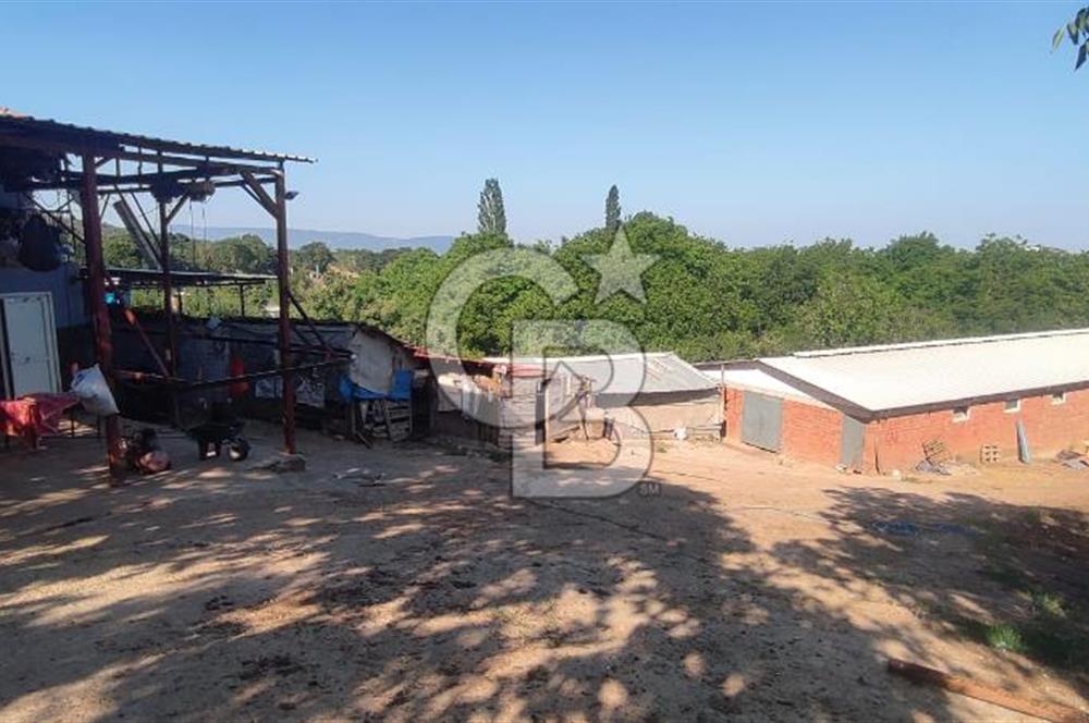 ORHANGAZİ FINDIKLI'DA SATILIK RUHSATLI BÜYÜKBAŞ HAYVAN ÇİFTLİĞİ