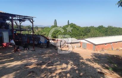 ORHANGAZİ FINDIKLI'DA SATILIK RUHSATLI BÜYÜKBAŞ HAYVAN ÇİFTLİĞİ