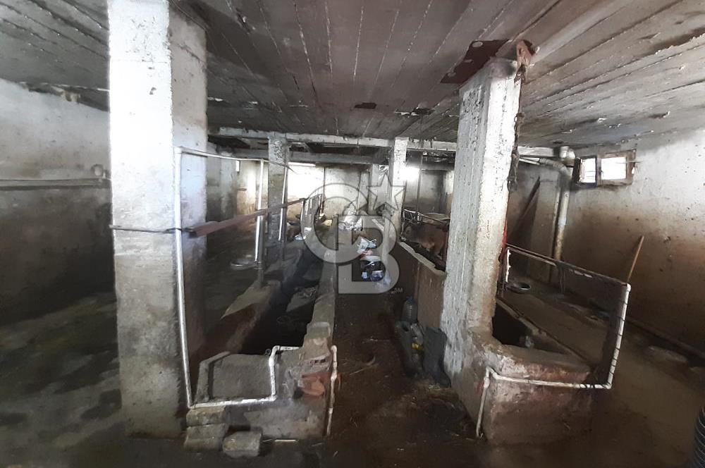 ORHANGAZİ FINDIKLI'DA SATILIK RUHSATLI BÜYÜKBAŞ HAYVAN ÇİFTLİĞİ