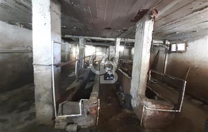 ORHANGAZİ FINDIKLI'DA SATILIK RUHSATLI BÜYÜKBAŞ HAYVAN ÇİFTLİĞİ