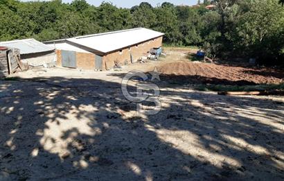 ORHANGAZİ FINDIKLI'DA SATILIK RUHSATLI BÜYÜKBAŞ HAYVAN ÇİFTLİĞİ