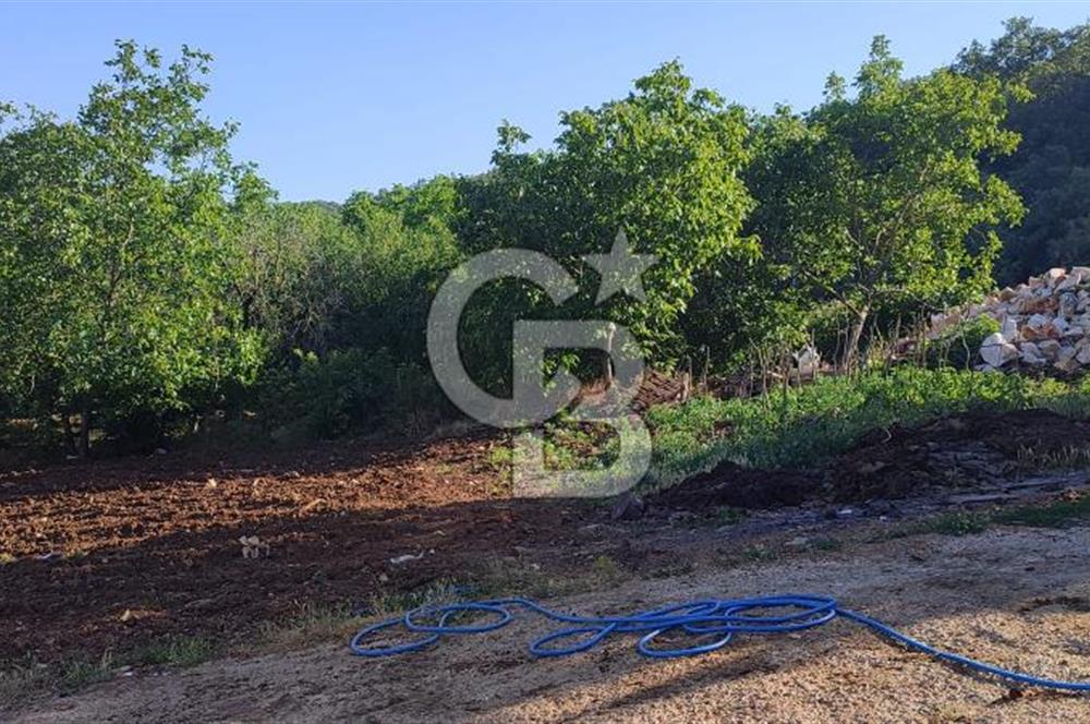 ORHANGAZİ FINDIKLI'DA SATILIK RUHSATLI BÜYÜKBAŞ HAYVAN ÇİFTLİĞİ