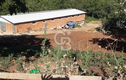 ORHANGAZİ FINDIKLI'DA SATILIK RUHSATLI BÜYÜKBAŞ HAYVAN ÇİFTLİĞİ