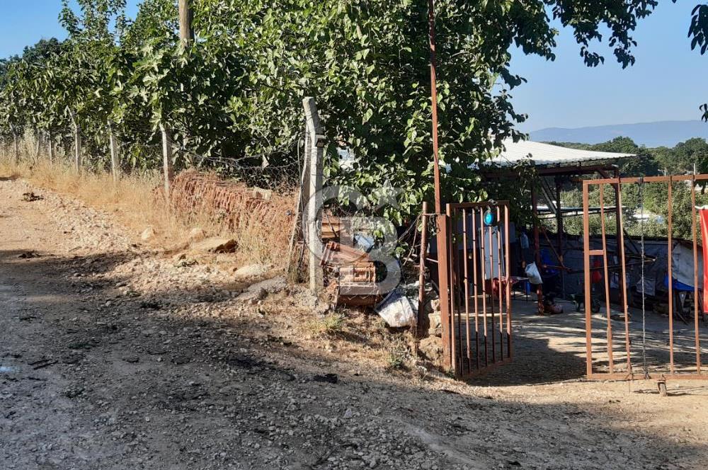 ORHANGAZİ FINDIKLI'DA SATILIK RUHSATLI BÜYÜKBAŞ HAYVAN ÇİFTLİĞİ