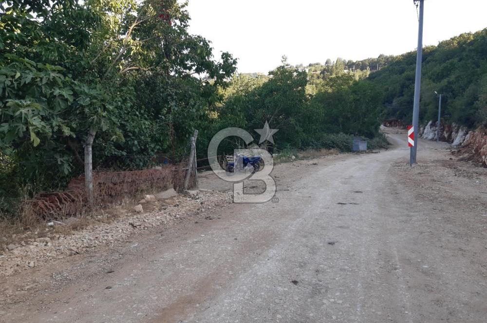 ORHANGAZİ FINDIKLI'DA SATILIK RUHSATLI BÜYÜKBAŞ HAYVAN ÇİFTLİĞİ