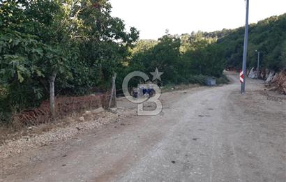 ORHANGAZİ FINDIKLI'DA SATILIK RUHSATLI BÜYÜKBAŞ HAYVAN ÇİFTLİĞİ