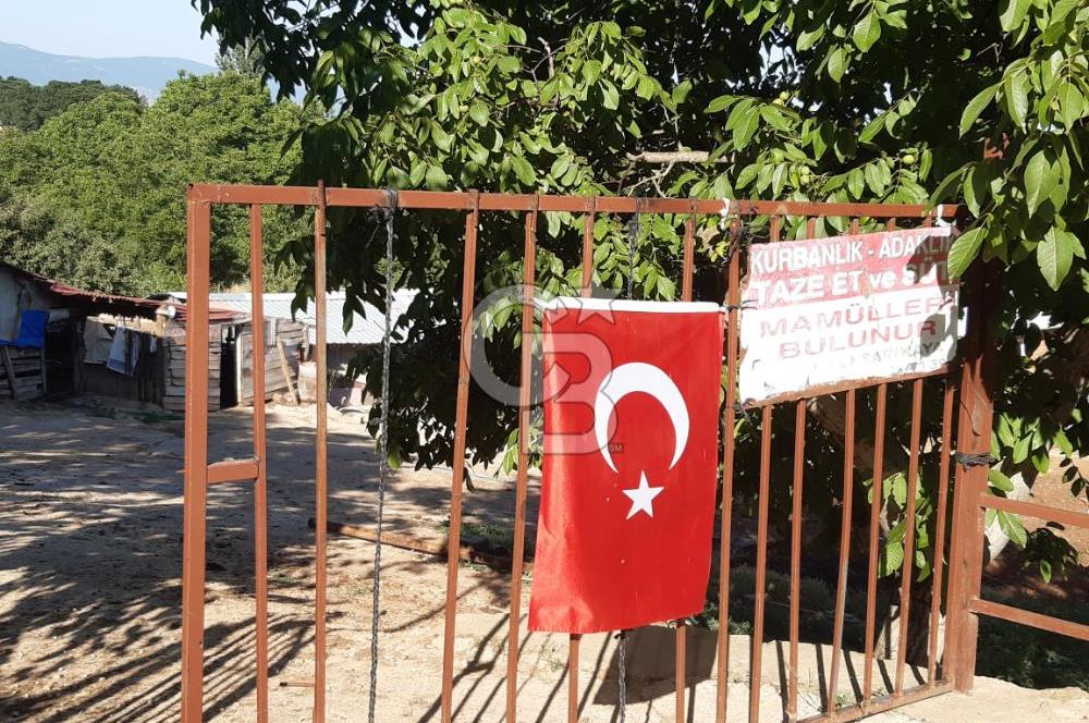 ORHANGAZİ FINDIKLI'DA SATILIK RUHSATLI BÜYÜKBAŞ HAYVAN ÇİFTLİĞİ