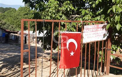 ORHANGAZİ FINDIKLI'DA SATILIK RUHSATLI BÜYÜKBAŞ HAYVAN ÇİFTLİĞİ