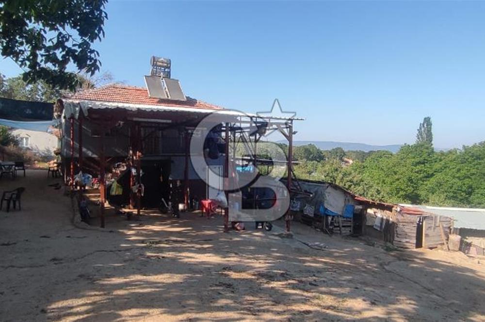 ORHANGAZİ FINDIKLI'DA SATILIK RUHSATLI BÜYÜKBAŞ HAYVAN ÇİFTLİĞİ