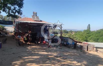 ORHANGAZİ FINDIKLI'DA SATILIK RUHSATLI BÜYÜKBAŞ HAYVAN ÇİFTLİĞİ