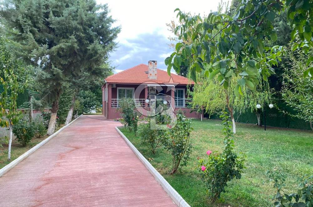 Kırklareli Lüleburgaz Turgutbey Köyü'nde Doğayla İç İçe, Geniş Bahçeli Müstakil Yaşam