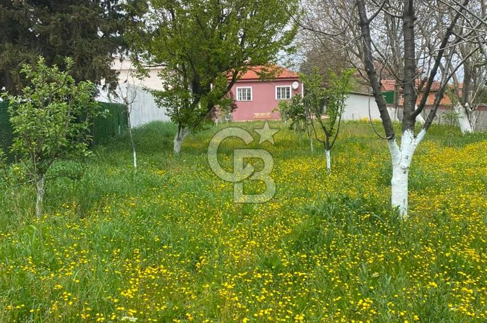Kırklareli Lüleburgaz Turgutbey Köyü'nde Doğayla İç İçe, Geniş Bahçeli Müstakil Yaşam