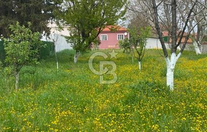 Kırklareli Lüleburgaz Turgutbey Köyü'nde Doğayla İç İçe, Geniş Bahçeli Müstakil Yaşam