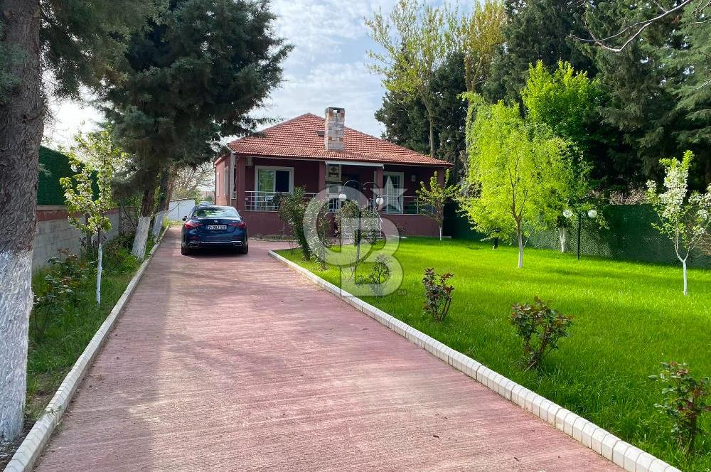Kırklareli Lüleburgaz Turgutbey Köyü'nde Doğayla İç İçe, Geniş Bahçeli Müstakil Yaşam