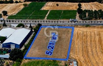 ÇANAKKALE ERENKÖY ASFALT CEPHELİ SATILIK TİCARİ İMARLI ARSA