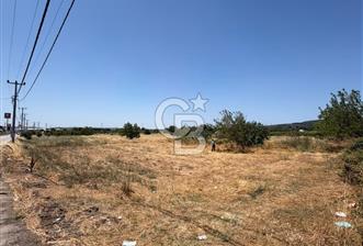 KÜÇÜKYENİCE YOLA CEPHE 1300 M2 SATILIK - 1 - 360366