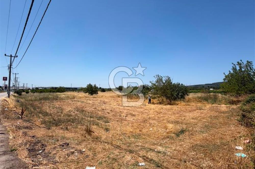 KÜÇÜKYENİCE YOLA CEPHE 1300 M2 SATILIK