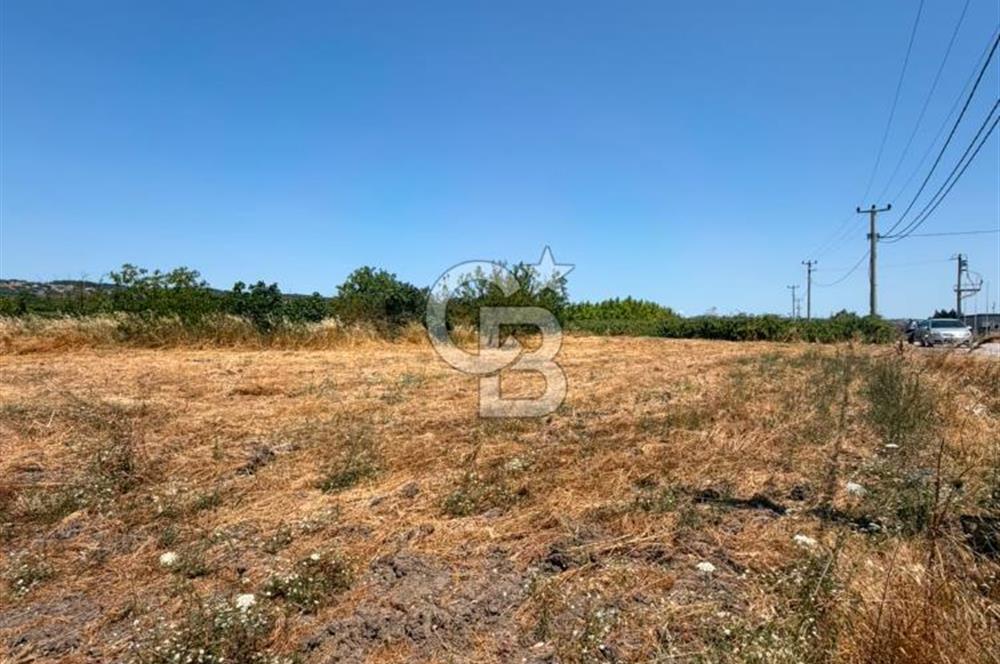 KÜÇÜKYENİCE YOLA CEPHE 1300 M2 SATILIK