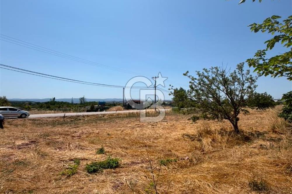 KÜÇÜKYENİCE YOLA CEPHE 1300 M2 SATILIK