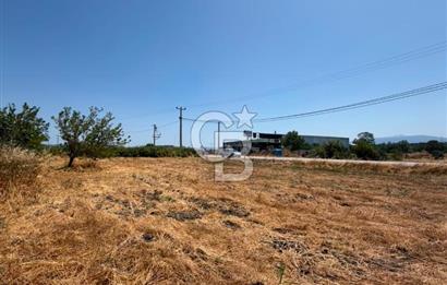 KÜÇÜKYENİCE YOLA CEPHE 1300 M2 SATILIK