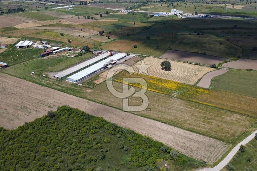 BİGA GÖKTEPE KÖYÜNDE SATILIK ÇİFTLİK AÇIKLAMAYI OKUYUNUZ