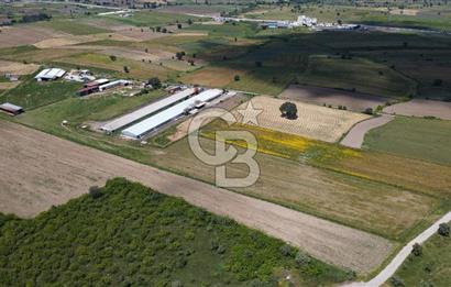 BİGA GÖKTEPE KÖYÜNDE SATILIK ÇİFTLİK AÇIKLAMAYI OKUYUNUZ