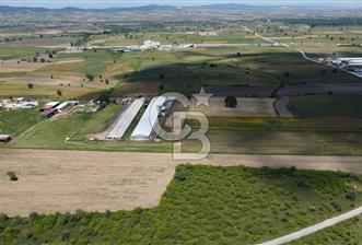 BİGA GÖKTEPE KÖYÜNDE SATILIK ÇİFTLİK AÇIKLAMAYI OKUYUNUZ - 4 - 360342